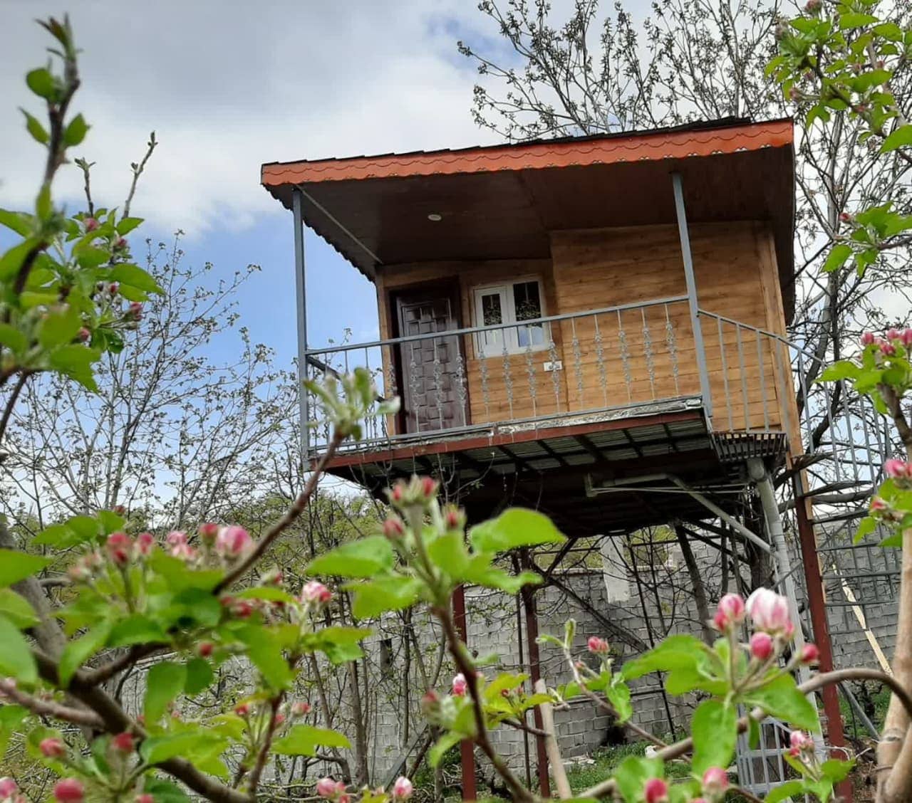 اجاره کلبه درختی در روستا بیاره سی سخت - یاسوج