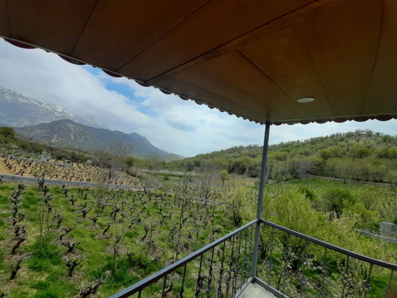 اجاره کلبه درختی در روستا بیاره سی سخت - یاسوج