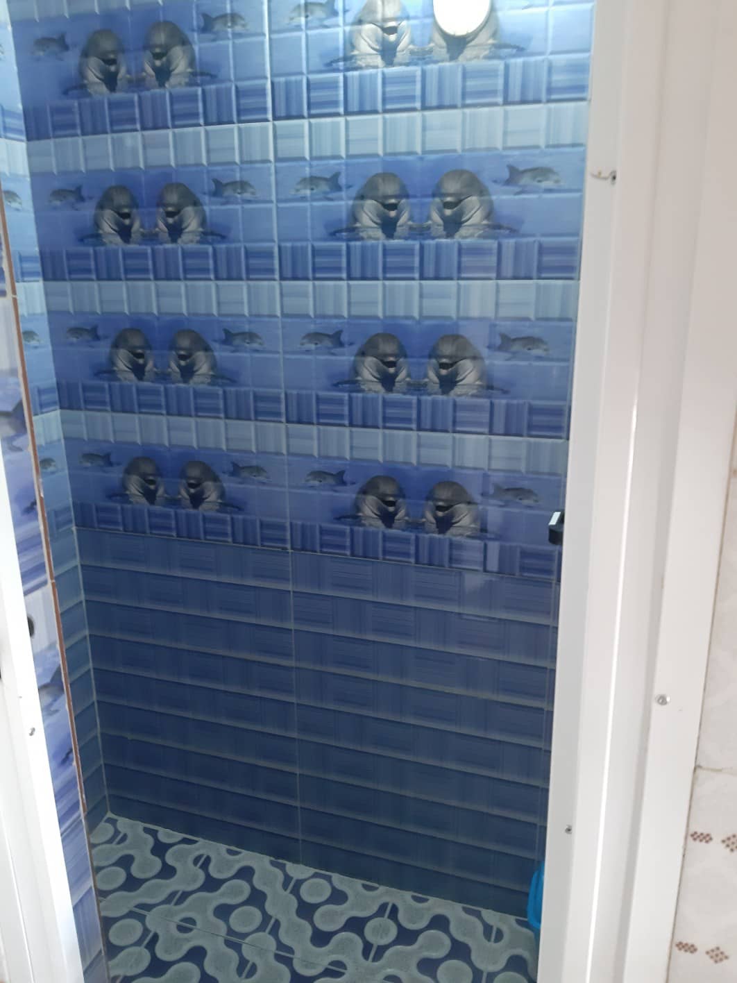 اجاره آپارتمان مبله در سیبویه شیراز - 2