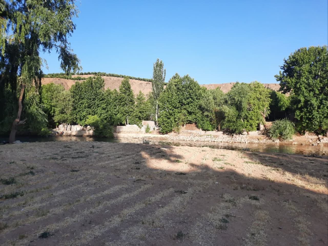 null