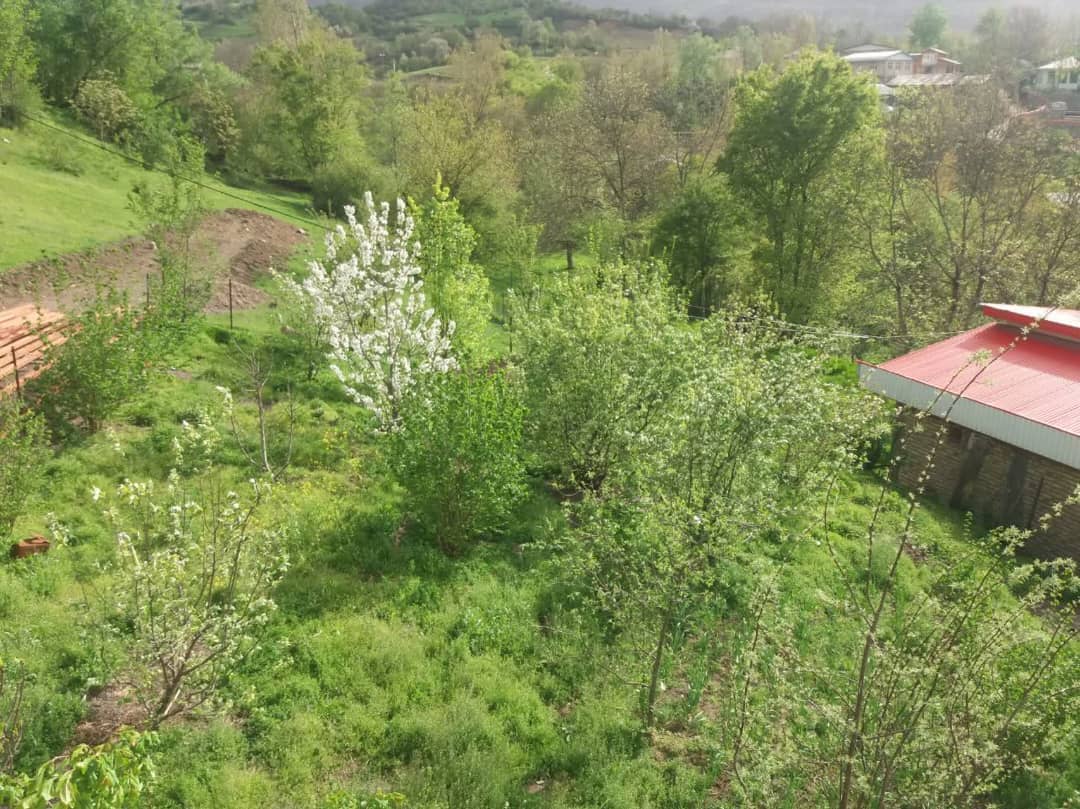 اجاره ویلا در بره سر رودبار