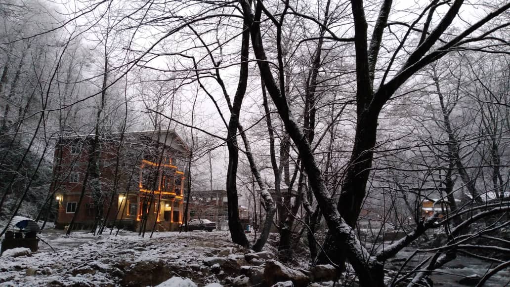 اجاره ویلا جنگلی درروستای گیجاب اسالم - 2 خواب