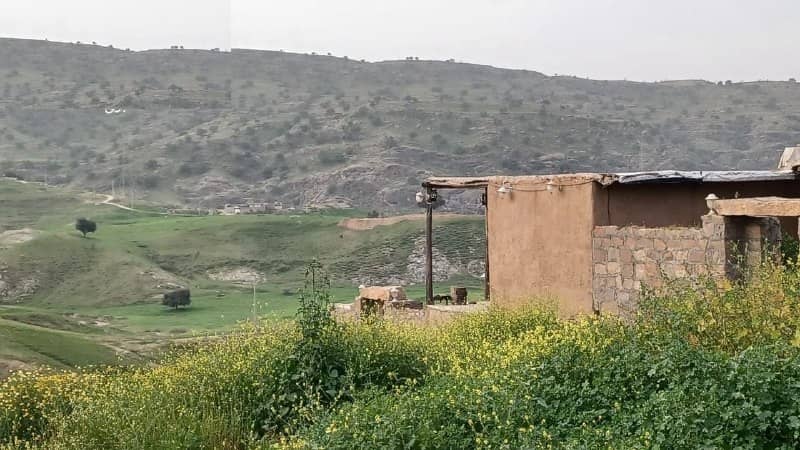 اجاره اتاق بومگردی40 متری در اندیکا - واحد 2