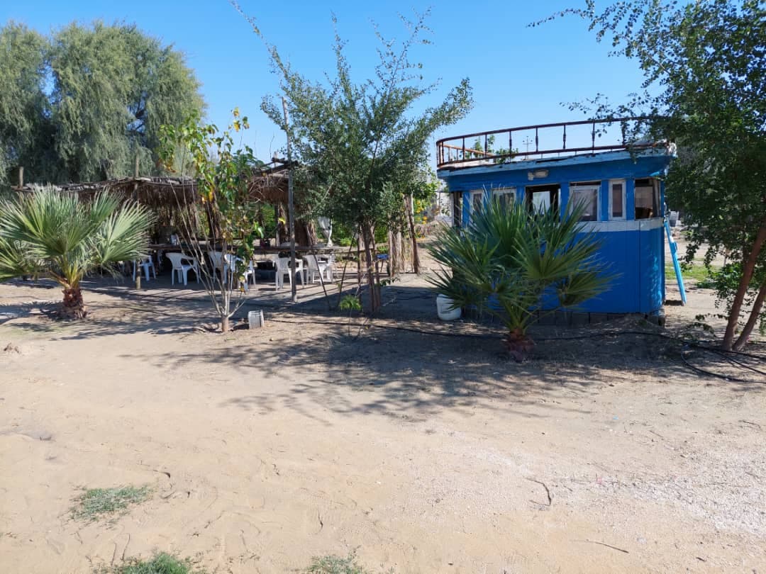 کافه