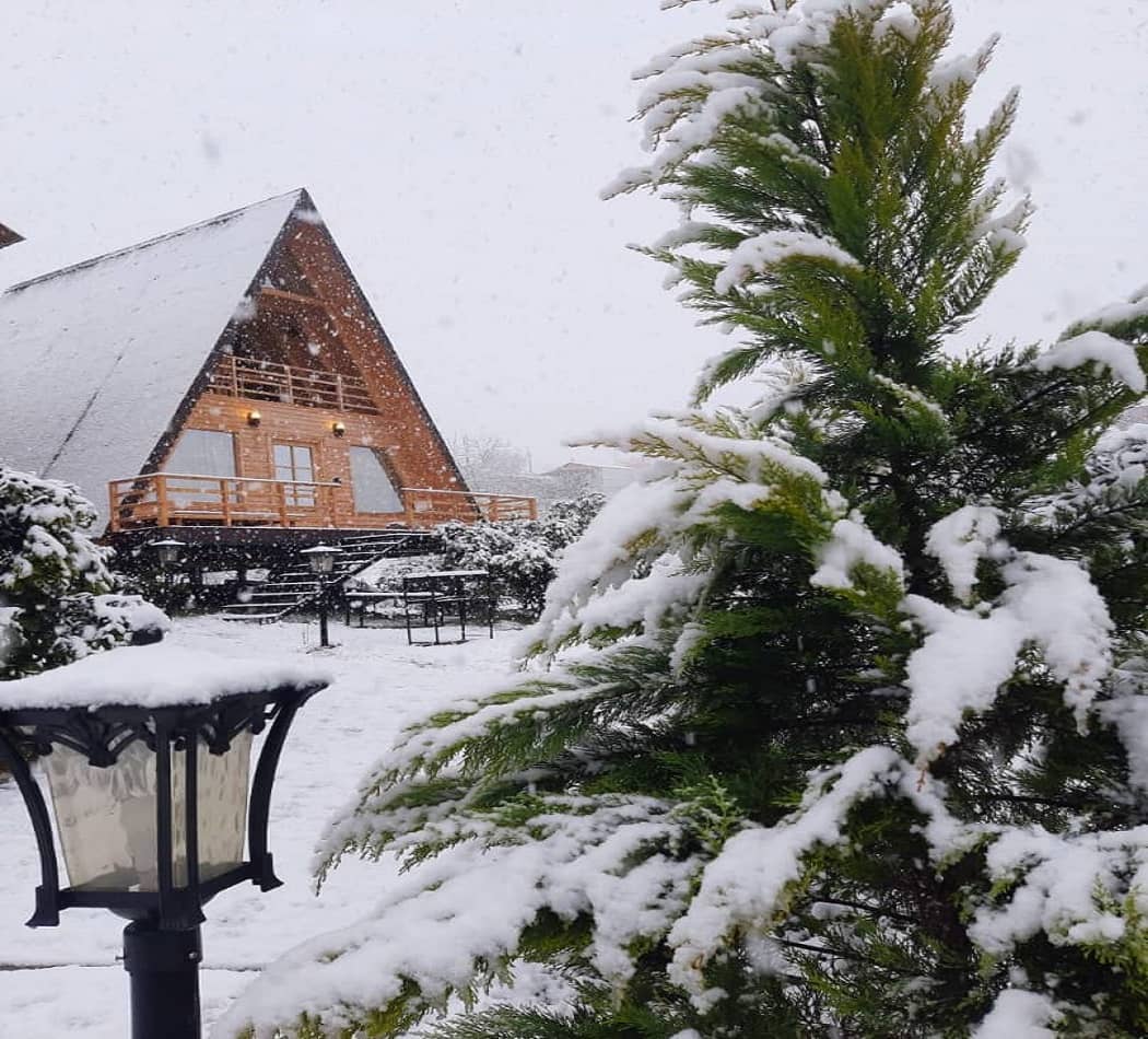 اجاره کلبه سوئیسی جنگلی در لفور شیرگاه