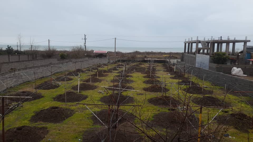 اجاره منزل ویلایی در تازه آباد - ترنم