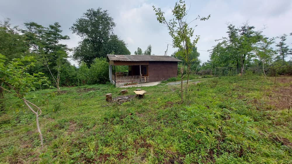 اجاره کلبه چوبی در روستا کاردرکلا لفور - 50متری