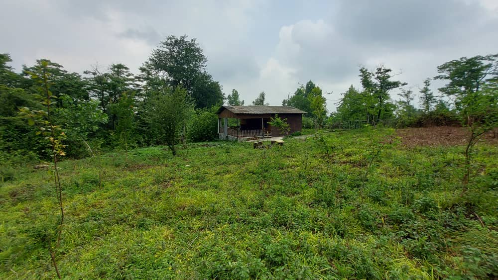 اجاره کلبه چوبی در روستا کاردرکلا لفور - 50متری