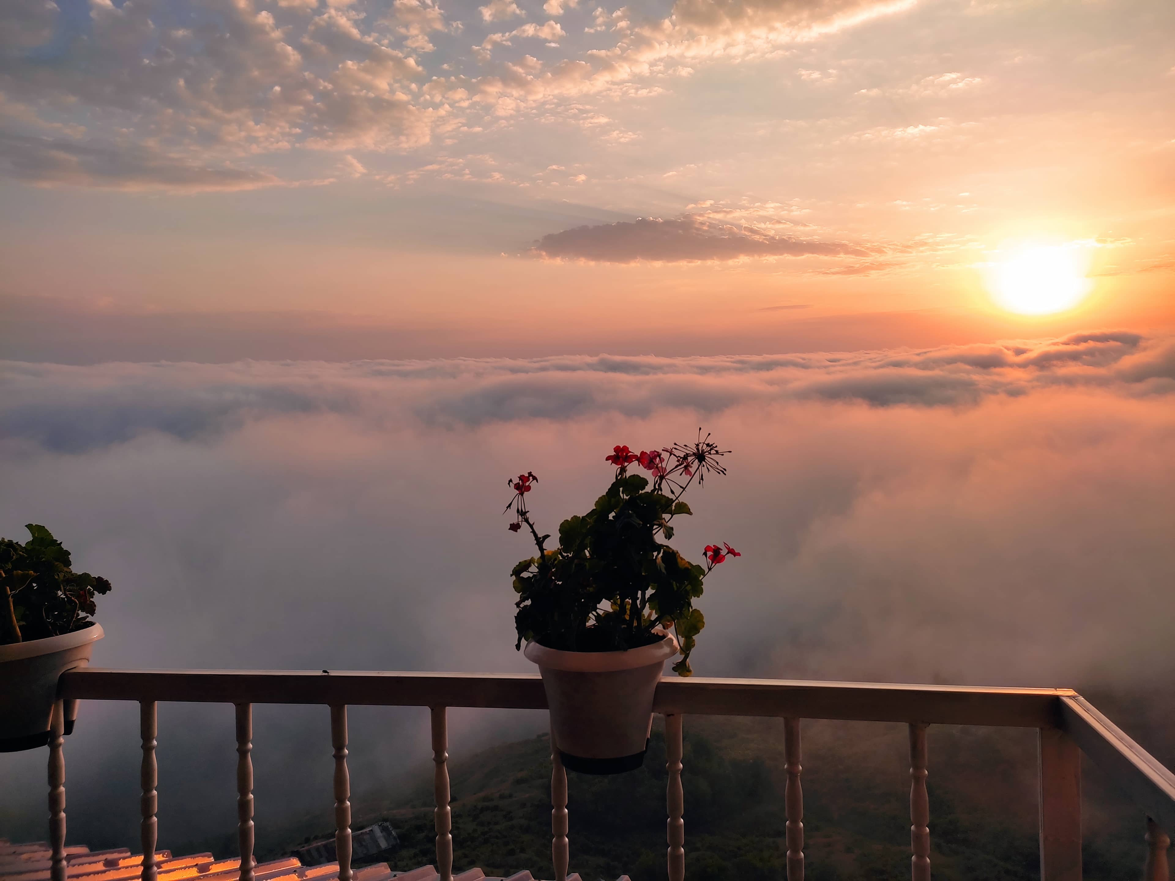 اجاره ویلا کوهستانی در فیلبند با ویوو جنگل ابر