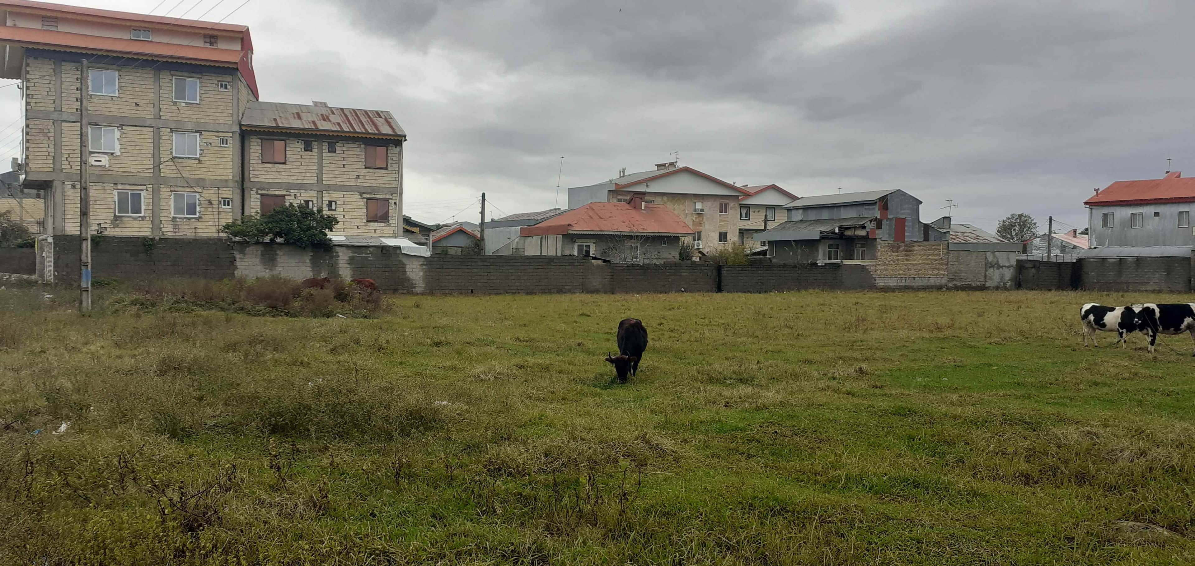 اجاره آپارتمان مبله ارزان درفومن