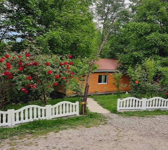 اجاره کلبه جنگلی چوبی در سیاه دول - کلبه 3