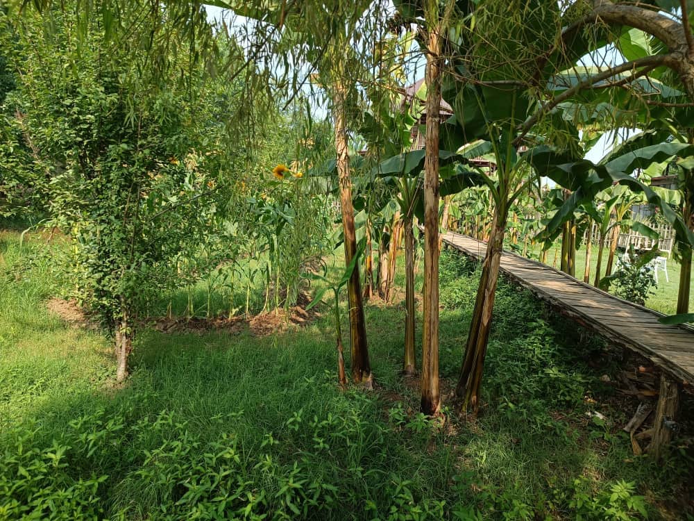 اجاره کلبه دوبلکس در روستای دلیجان - صدرای سه