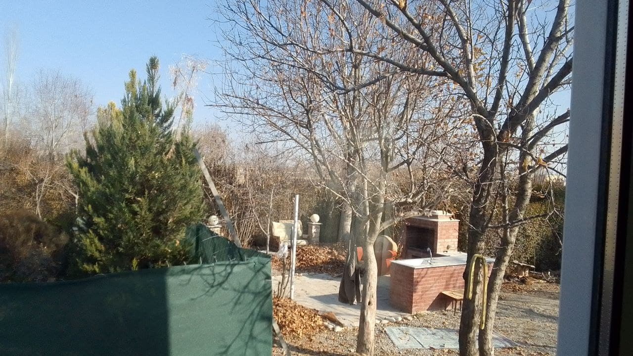 محوطه حیاط