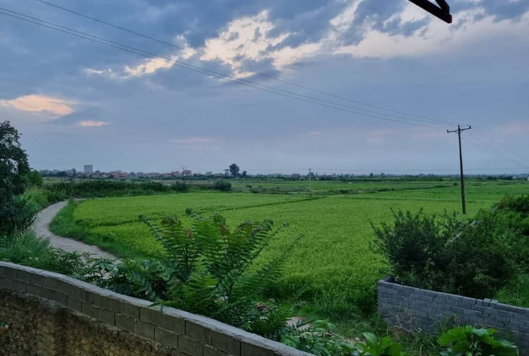 ویو دشت تابستان