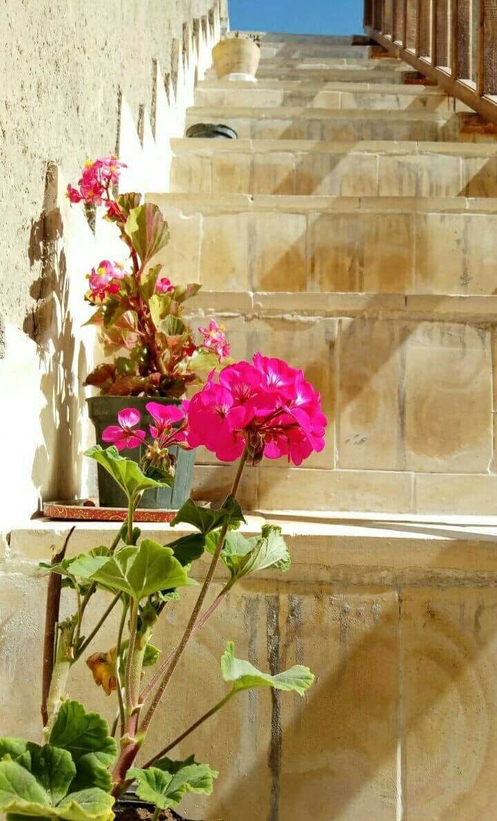 اجاره اقامتگاه بوم گردی درطبس