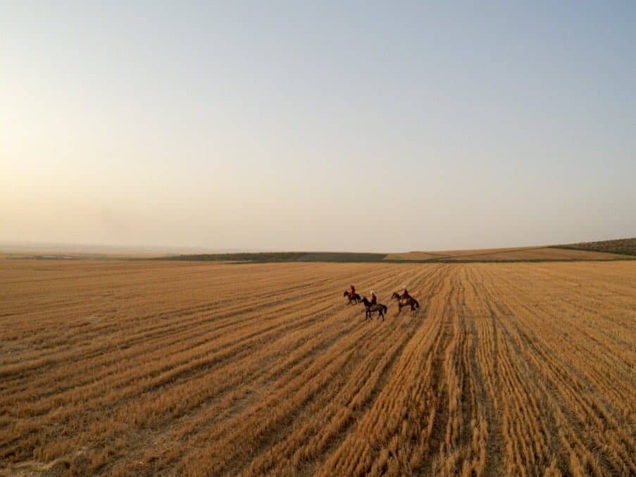 اجاره بومگردی درحومه کلاله