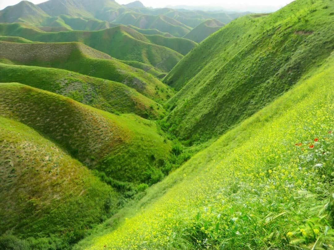 اجاره بومگردی درحومه کلاله