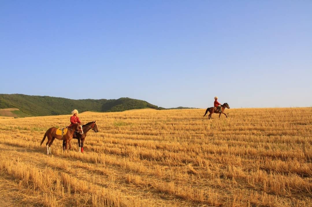 اجاره بومگردی سنتی در حومه کلاله