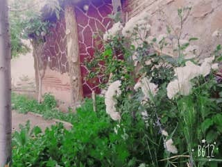 اجاره اقامتگاه بومگردی سنتی در سمنان-اتاق 3