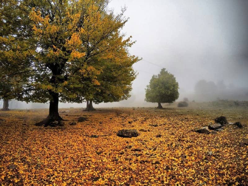 اجاره اقامتگاه بومگردی سنتی در آزادشهر شاهرود - اتاق 6