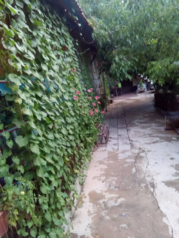 اجاره سویئت و خانه سنتی باباحیدر - اتاق 3