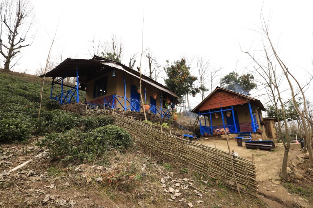 اجاره کلبه جنگلی در گرماپشته تنکابن - کلبه پدر