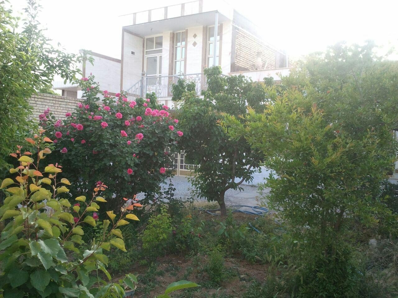 اجاره خانه ویلایی در روستای چم عالی