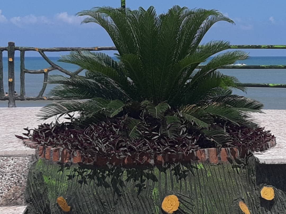 اجاره سوئیت ساحلی14 متری در خط هشت چالوس