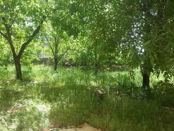 اجاره منزل مبله در مولوی سمیرم