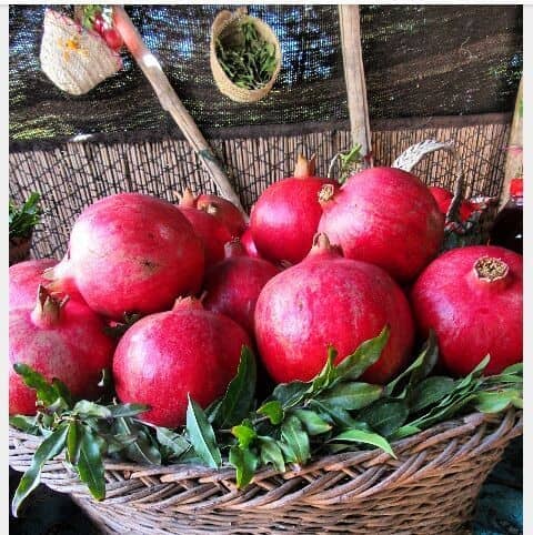 اجاره اقامتگاه بومگردی پنج نفره در ارسنجان