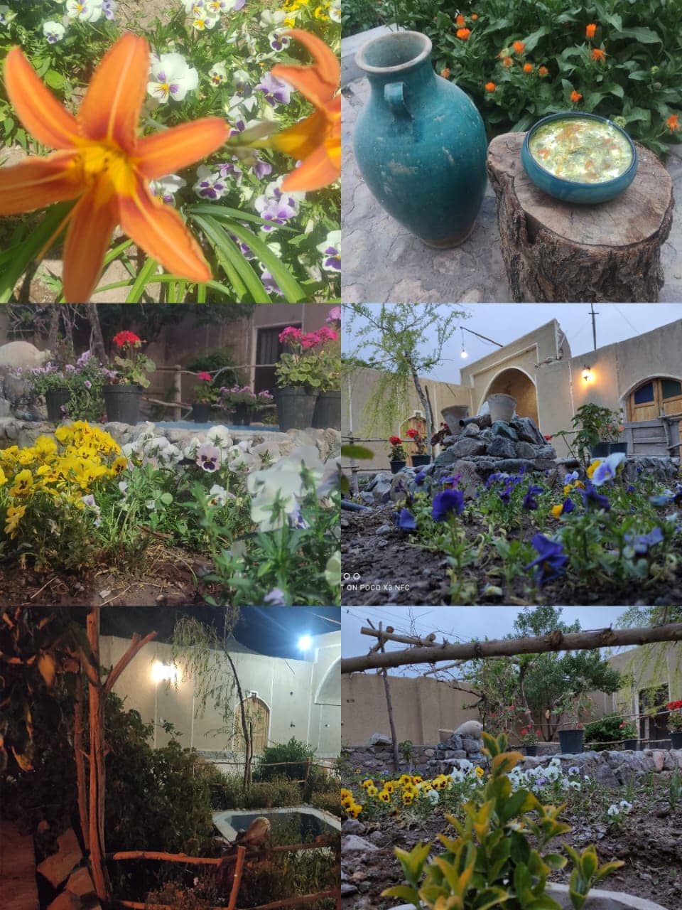 اجاره اقامتگاه بومگردی در ظهرود راین - 5