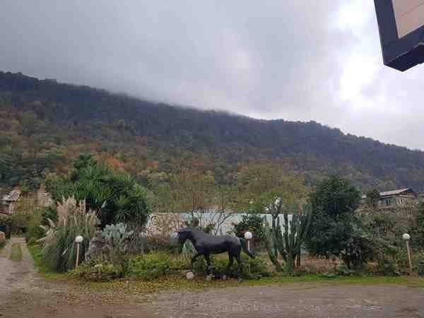 اجاره سوئیت ویلایی در چاخانی هچیرود - چالوس