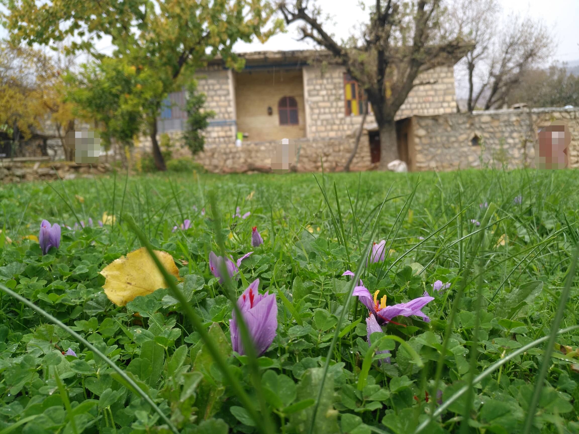 اجاره خانه سنتی درقلعه سرد دهدز - 18 متری