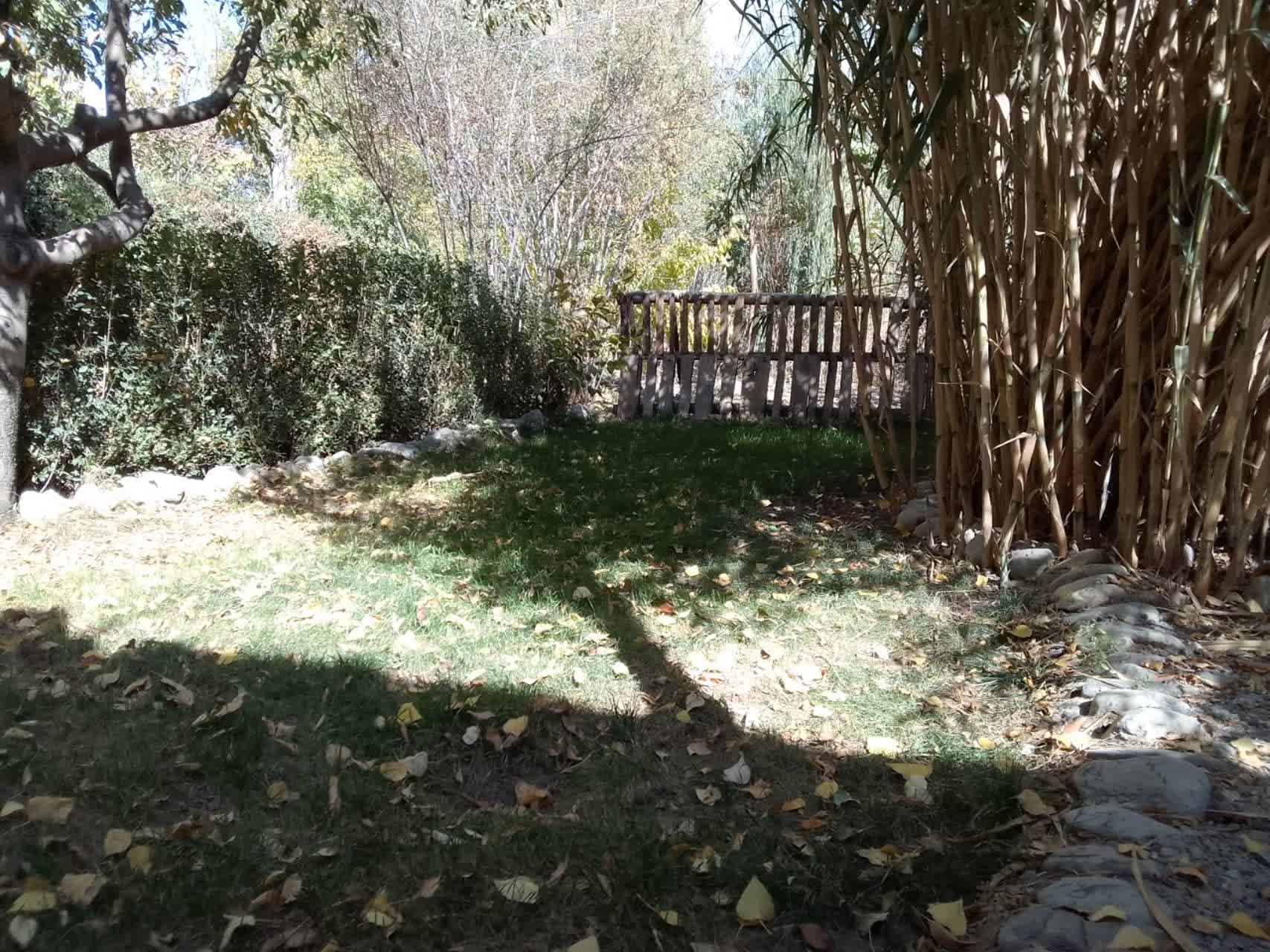 محوطه باغ