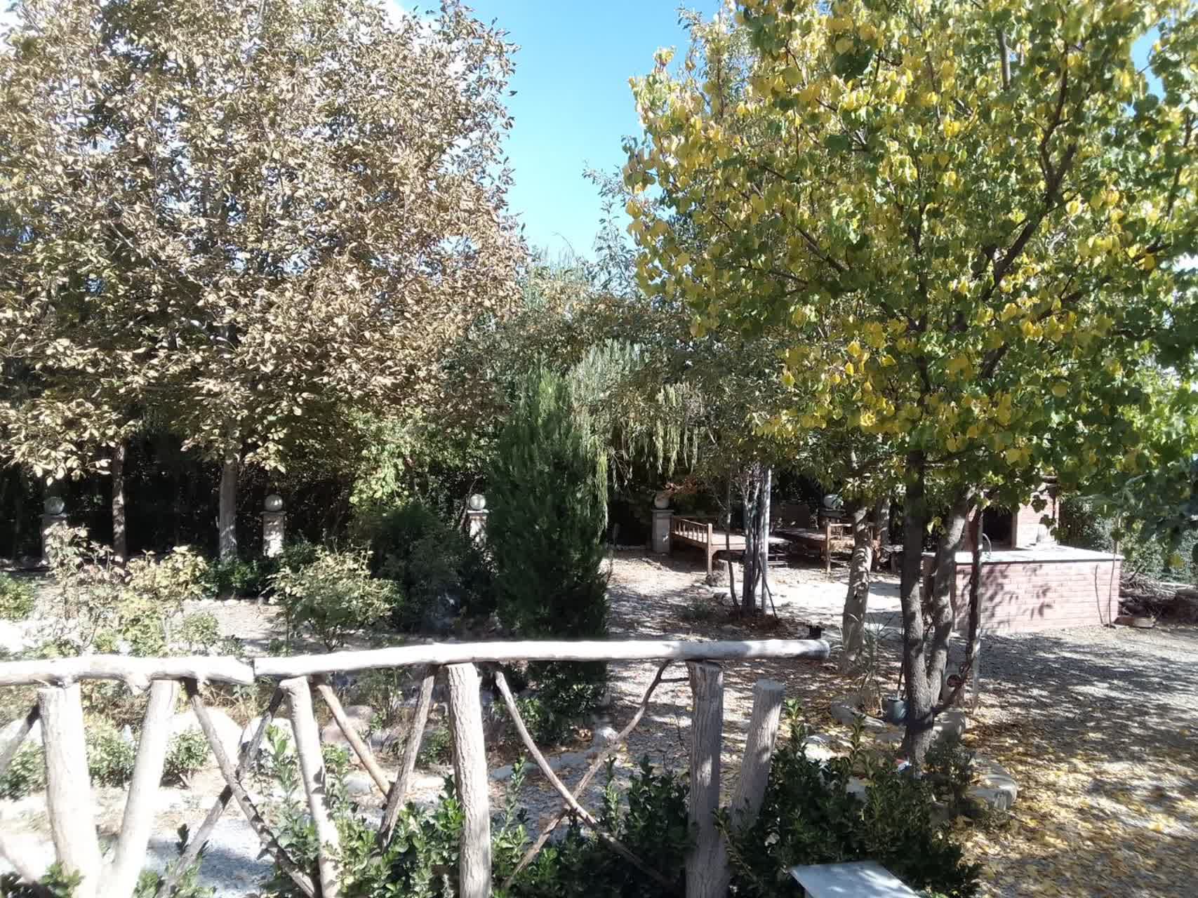 محوطه باغ