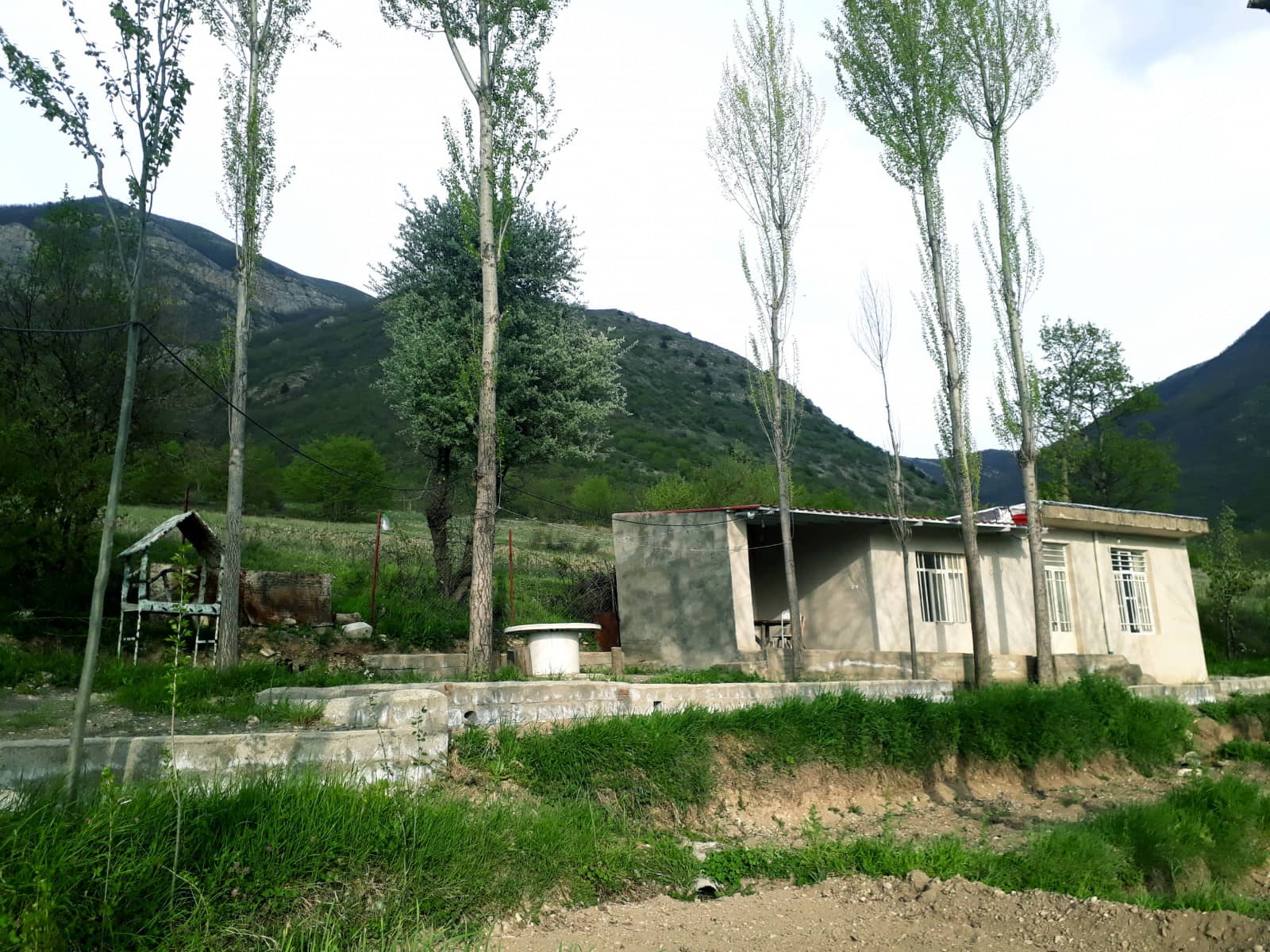 اجاره سوئیت جنگلی استخردار درصومعه کلیبر - 2