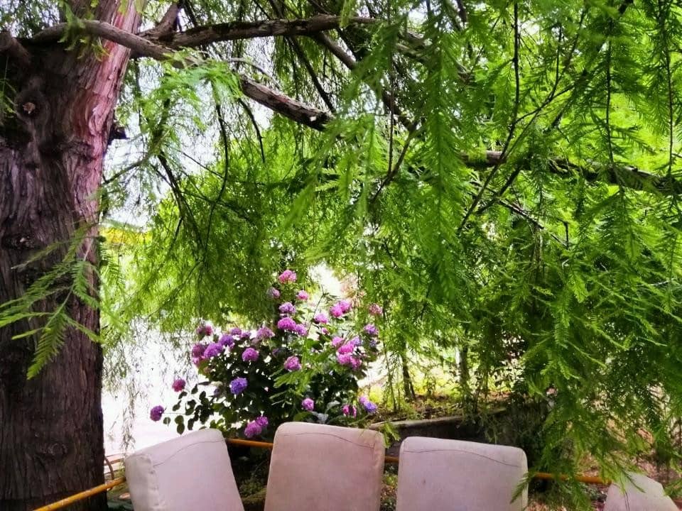 اجاره ویلا دربستی تمیز درتالش