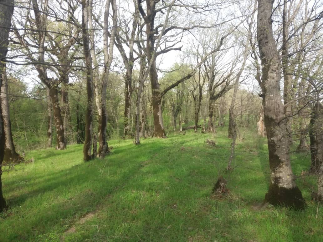 اجاره اتاق بومگردی در روستای تمرقره قوزی کلاله25 متری