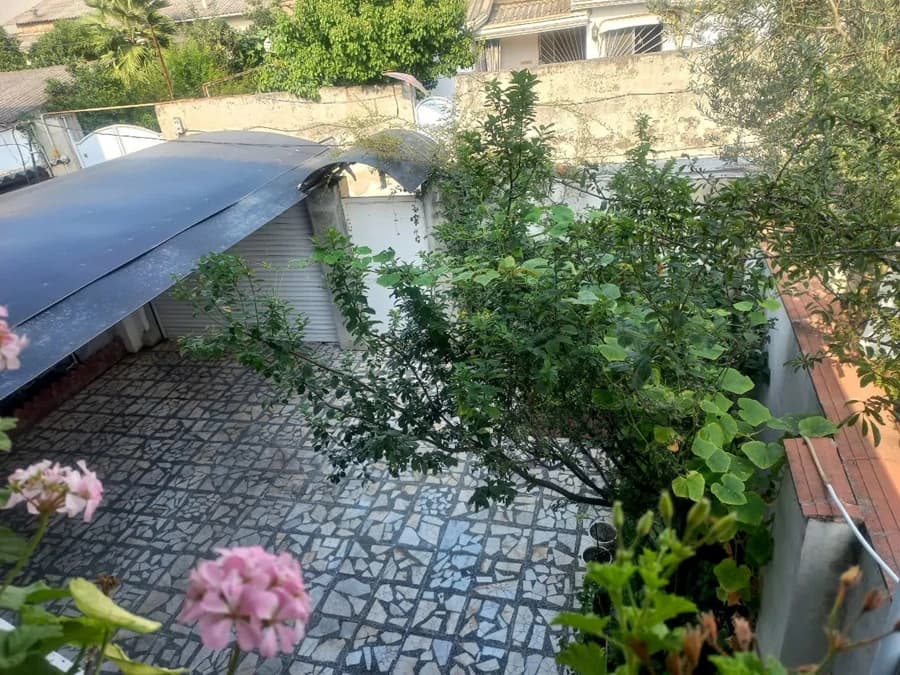 حیاط