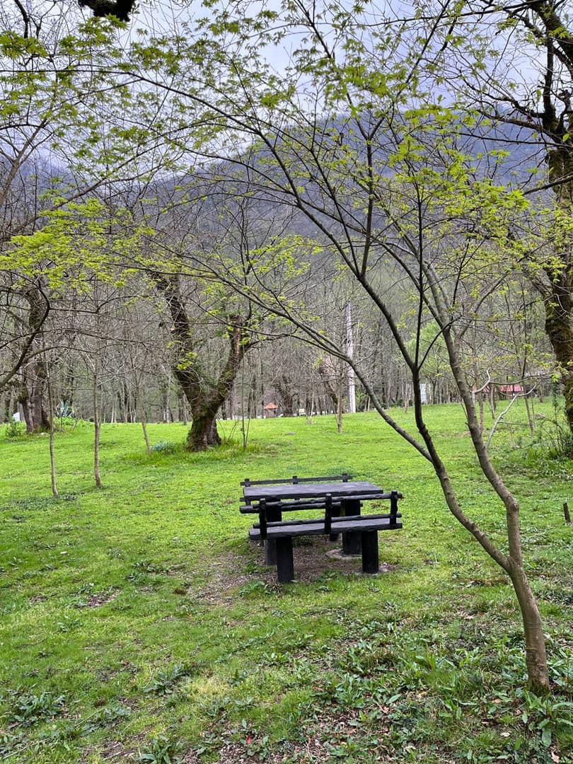 محوطه