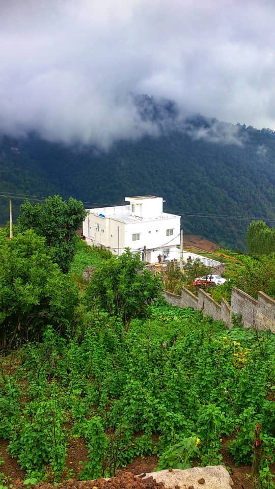 ویلا جنگلی با استخر سرپوشیده آبگرم در روستا ریگچشمه بالا مینودشت نما ویلا