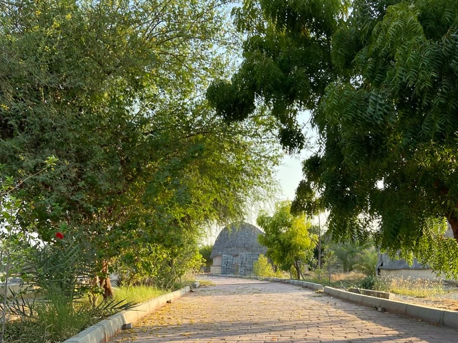 حیاط