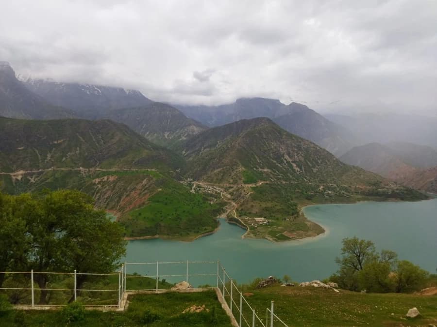 منتظره از تراس بالا
