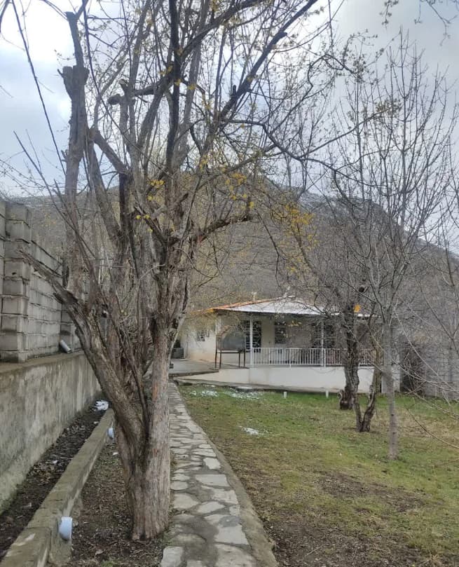 محوطه