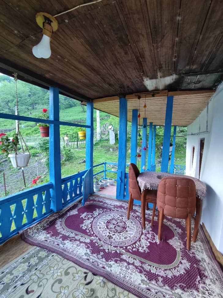 بومگردی جنگلی در روستای چسلی ماسال بالکن