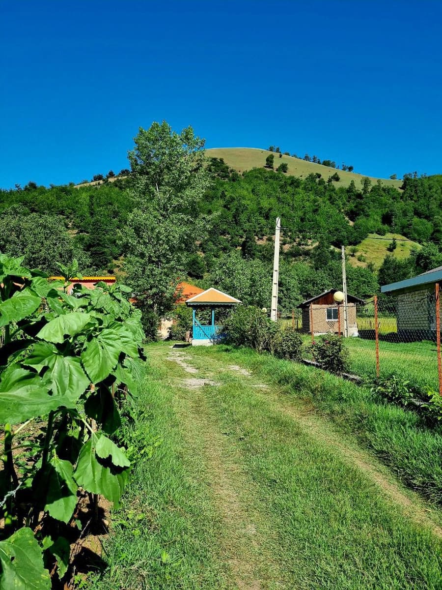 چشم انداز