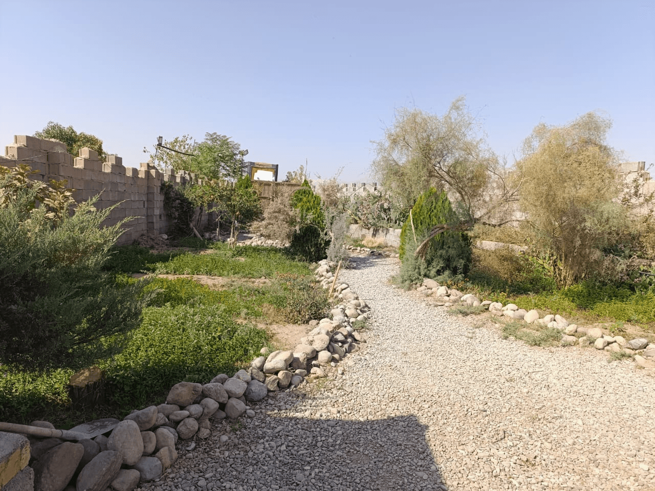 حیاط