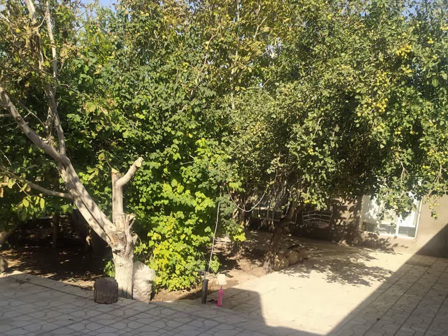 محوطه