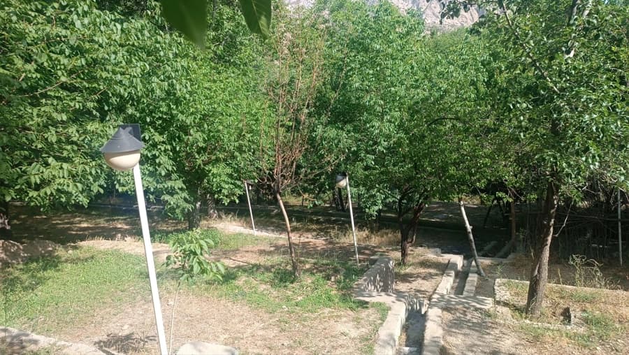 محوطه باغ