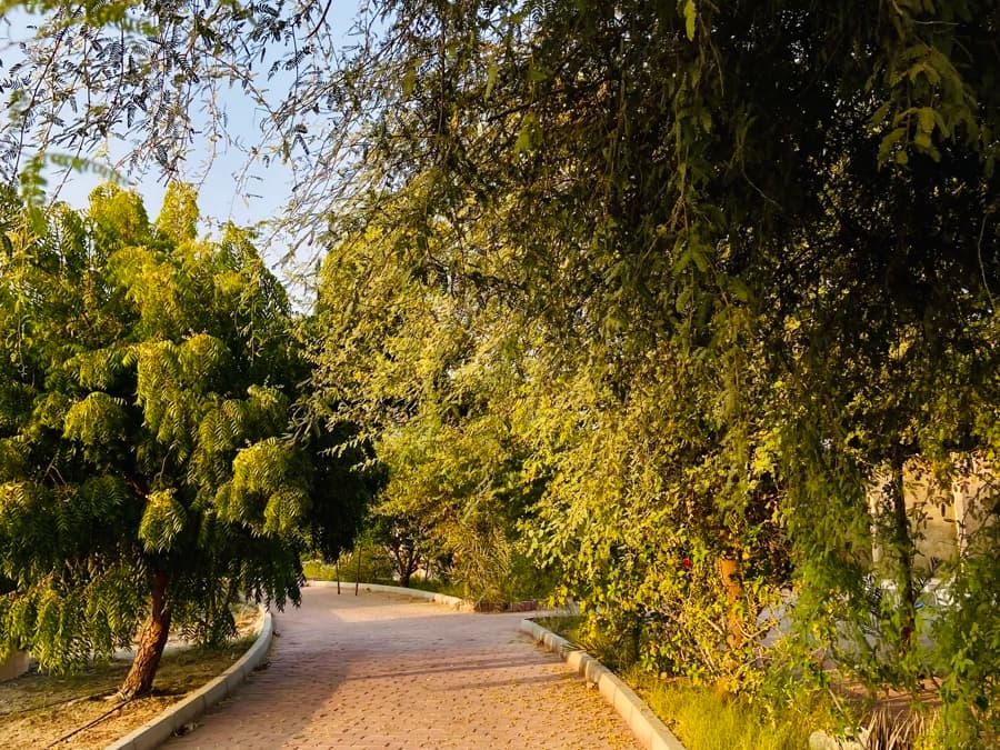محوطه